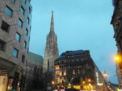 -斯蒂芬主教座堂(Stephansdom)