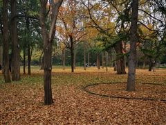 -清华大学-甲所餐厅