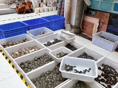 -青石桥花鸟鱼虫市场(叠翠城店)