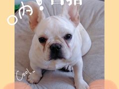 -向外鱼乐·土菜·虹鳟鱼