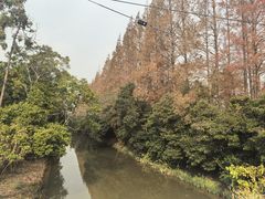 -上海长兴岛郊野公园