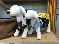 -line friends(明洞旗舰店)