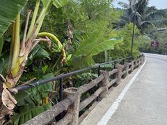 -海南槟榔谷黎苗文化旅游区