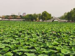 -长春市南湖公园