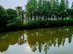 -上海怡沁园度假酒店