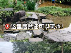 -中国茶叶博物馆(双峰馆区)