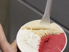 -Dip in Gelato(富民路店)