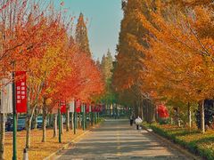 -上海财经大学(国定路校区)