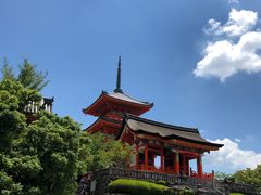 -有栖山 清光院 清水寺