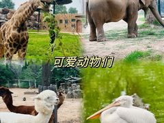 -济南野生动物世界