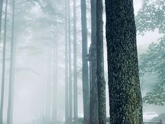 -莫干山风景区