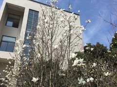 -江南大学(蠡湖校区)