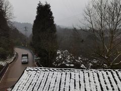 -老字号怡玺·藿香雅鱼(20年雅安店)