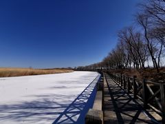 -野鸭湖国家湿地公园