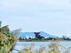 -芒洲湿地公园