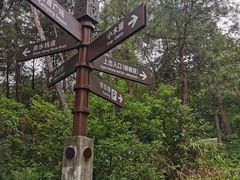 -铁山坪森林公园