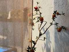 -如禾素食·下午茶·糖水