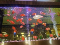 -御池园(顾村公园店)