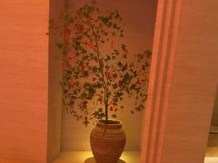 -舒小悦·舒养SPA·古法推拿(光环中心店)