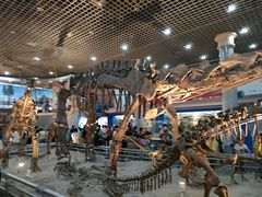 -国家自然博物馆