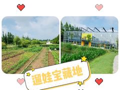 -前小桔亲子创意农场·草莓采摘·露营烧烤