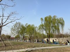 -上海山野camping·户外天幕烧烤·团建拓展营地