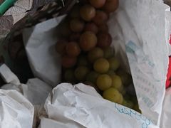 -马陆小张葡萄园农家乐