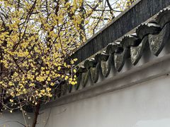 -无锡梅园公园