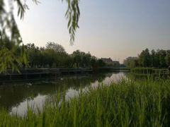 -中关村生命科学园