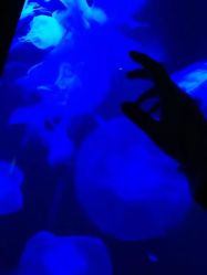 -珍珠泉水上世界