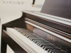 -柏斯琴行(汾阳店)