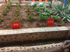 -万达影城(开元商城西旺店)