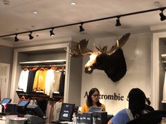 -Abercrombie & Fitch(天环广场店)