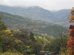 -国家植物园