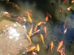 -云南民族大观园