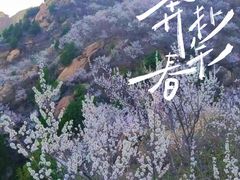 -北京凤凰岭
