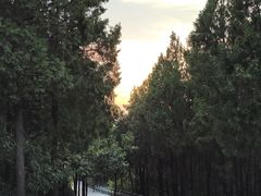 -佛慧山