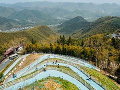 -莫干山风景区