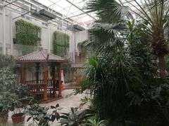 -天津大学附属中学