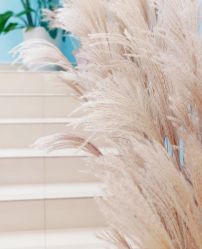 -Mirror care镜面皮肤管理