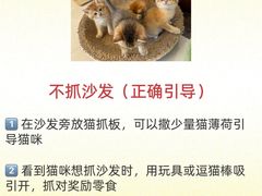 -守诺宠物医院·眼科· 神经外科·爬宠专科(虹口店)