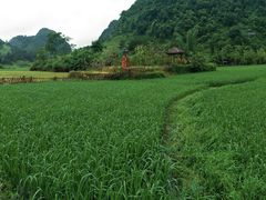 -靖西鹅泉风景区