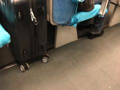 -龙阳路磁悬浮列车总站-停车场