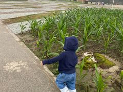 -中国天府农业博览园