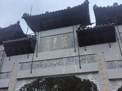 -南汇桃花村