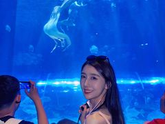 -华夏文旅海洋公园