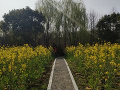 -同里国家湿地公园