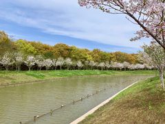 -上海海湾国家森林公园