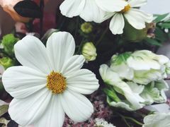 -HELEN FLORAL DESIGN(海上世界文化艺术中心店)