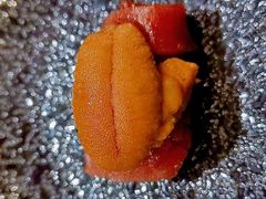 金枪鱼中腩海胆-桐寿司Sushi Tong